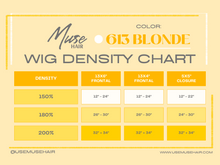 613 HD Lace Wigs - PRE-PLUCKED - MUSE Hair