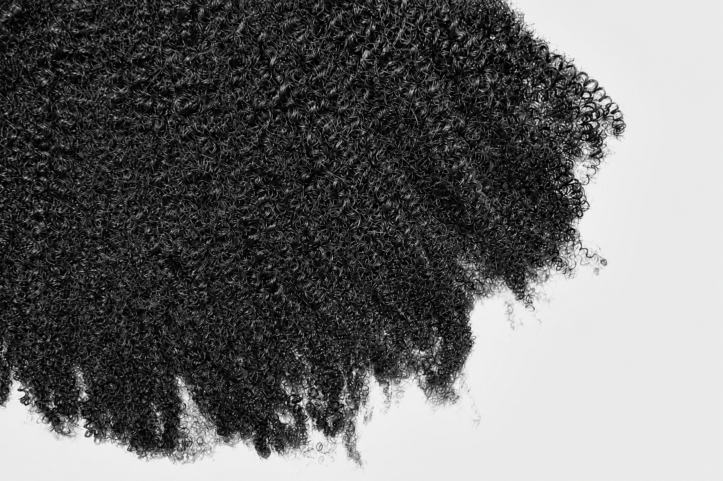 AFRO CURL Bundles - MUSE Hair