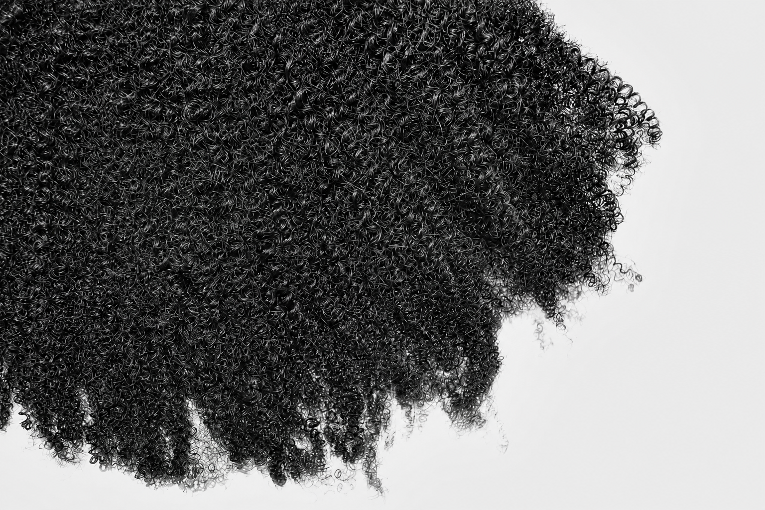 AFRO CURL Bundles - MUSE Hair